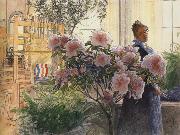 Carl Larsson Azalea Spain oil painting artist